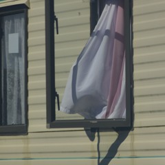 bovine spongiform encephalopathy