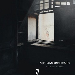 Stiven House