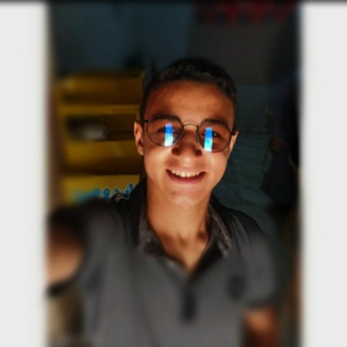 Amr Gamal Ayaad’s avatar