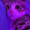 A.