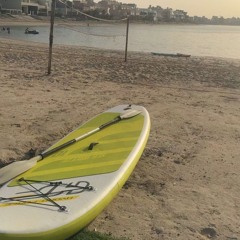alsarraf208