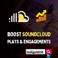 Mix Zone-✔  Indigosem. com