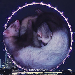 underdrivez.