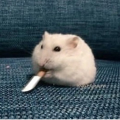 127. The Mike Theodore Orchestra - The Bull