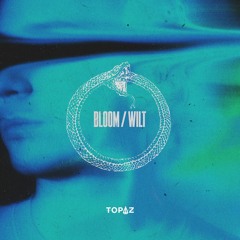 TOPAZ