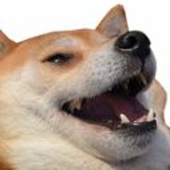 PoggoDoggo