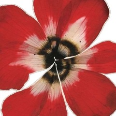 bloomflowers