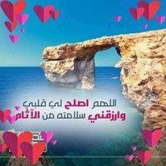 DrLobna Elkady