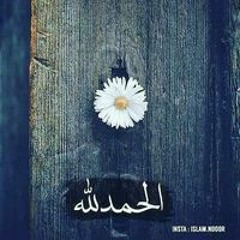 Walid Lolo