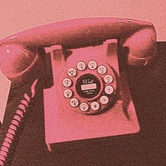 The Telephones