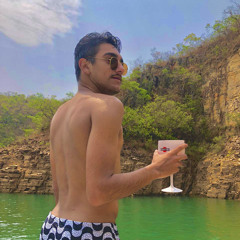 Vinícius Alves Dworzsak