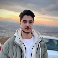 Sina F.a