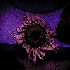 Lethargic Imagination