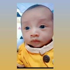 Seno Haris