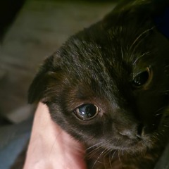 Марина