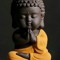 sai krishna ojha