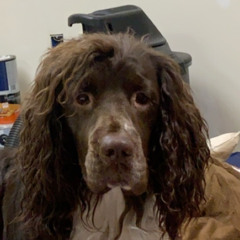 Tripp🥳