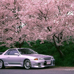 Jesse Borkowski Vlogs