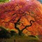 Azalea