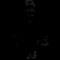 seneca death