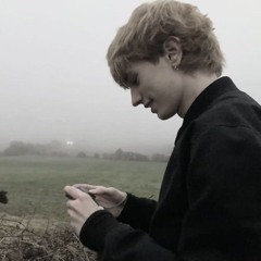 наденька бридж