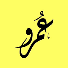 Amr Salah (ragheb)