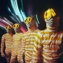 yellow striped zebra