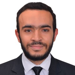 Mahmoud Ashraf Dabis