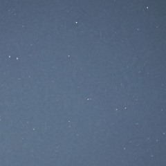 Vika.vasilevskaya.09