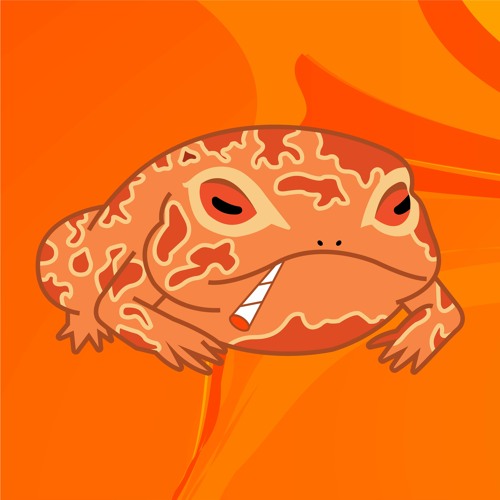 ToadFromTheRoad’s avatar