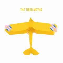 The Tiger Moths