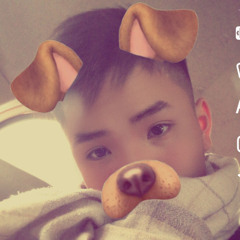 vu phu