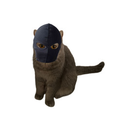 verushka