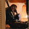wildsalander
