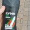 lynx.man