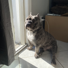 DIEGO