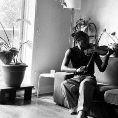 Butterflies Sting Too