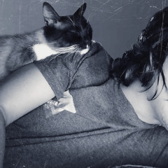 𝚀𝚞𝚒𝚡𝚘𝚝𝚒𝚌𝚎𝚕𝚒𝚡𝚎𝚛