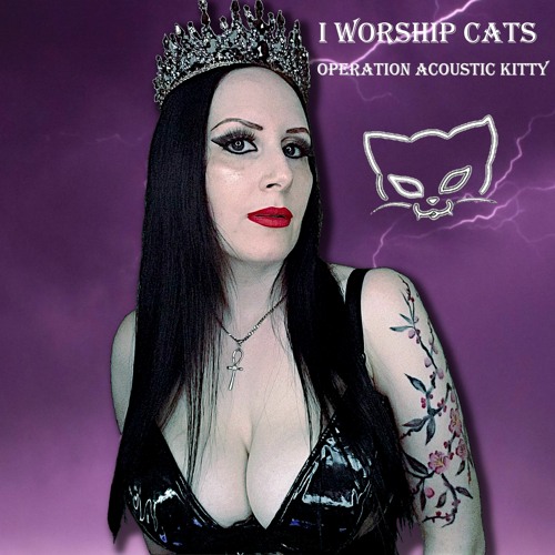 I Worship Cats’s avatar