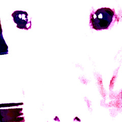JonnyM