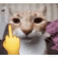 UNDERATED SONGS I FOUND 💯‼️😋