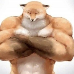 Star Fox