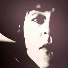 Craig Panda Alexander