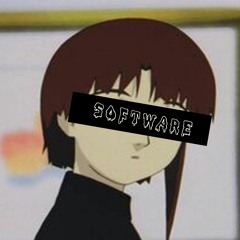 s0ftware