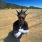swaggenmichael