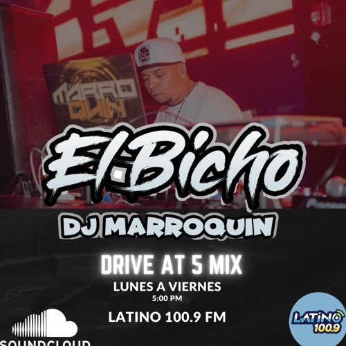 DJ Marroquin (EL BICHO)’s avatar