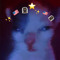 LilFiddle