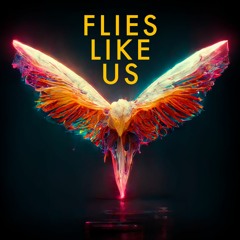 Flies Like Us