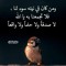 ماهي محمد