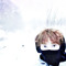 More. ::::archive::::